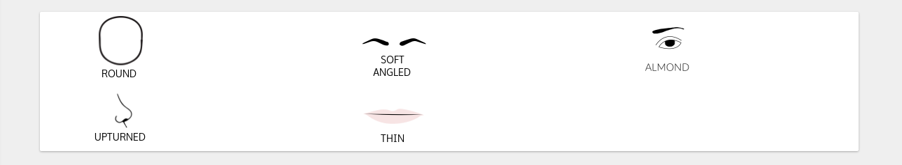 ../../_images/display_facial_features.png